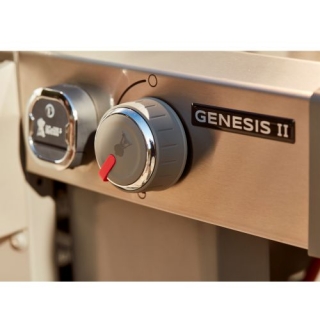Weber Genesis II EP-335 GBS